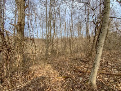 IMG_5168