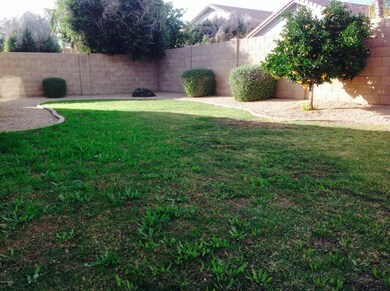 PONTIAC BACK YARD