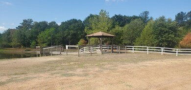 tbd Jackrabbit Dr, Hempstead, TX 77445 - photo 6