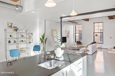 Cable Mills unit 23, Williamstown, MA 01267 - photo 7