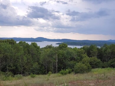 Lot 242 Silver Sunset Ln, Ruth B Rural Township, MO 65686 - photo 6