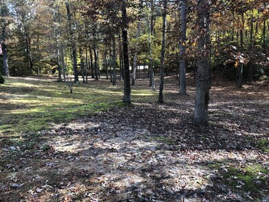 164 Settlers Ln, Montross, VA 22520 - photo 7