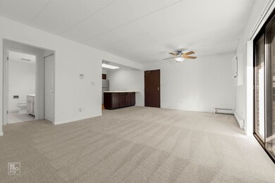 264 E Bailey Rd unit E, Naperville, IL 60565 - photo 5