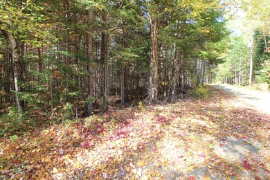 Lot 12 Fox Hollow Rd, Dallas Plantation, ME 04970 - photo 2