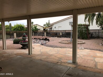 Backyard2
