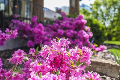 27 Richards Rd, Columbus, OH 43214 - photo 3