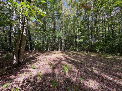 Campsite 3