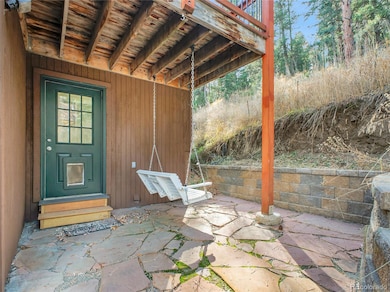 4961 Little Cub Creek Rd, Evergreen, CO 80439 - photo 5