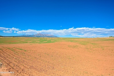 0 E Long Point Rd, Monticello, UT 84511 - photo 4