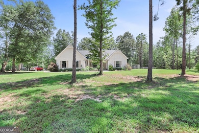 3486 S Highway 29, Moreland, GA 30259 - photo 3