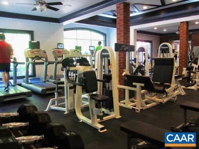 725 Denali Way unit 301, Charlottesville, VA 22903 - photo 5