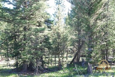 TBD Settler's Loop, Big Sky, MT 59716 - photo 4