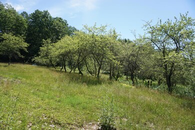 DSC04794