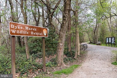 6625 10th St unit B1, Alexandria, VA 22307 - photo 4