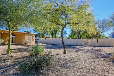 Super huge side yard ready for ???