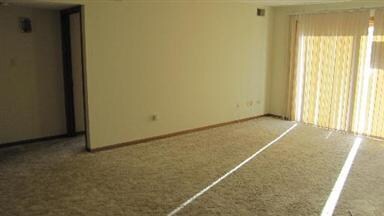 11045 S Theresa Cir unit 1B, Palos Hills, IL 60465 - photo 6