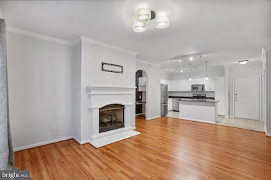 Bryson At Woodland Park unit 203, Herndon, VA 20171 - photo 6