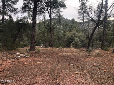 95 Wagon Wheel Way unit B5 ROS 3142 aka 3099, Strawberry, AZ 85544 - photo 4