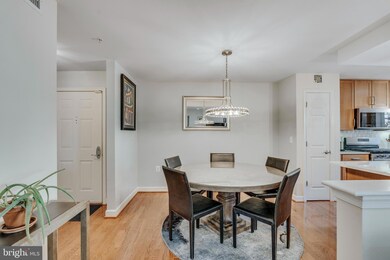 4129 S Four Mile Run Dr unit 301, Arlington, VA 22204 - photo 4