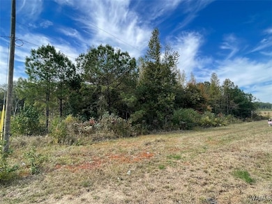 3 43rd St, Northport, AL 35473 - photo 2