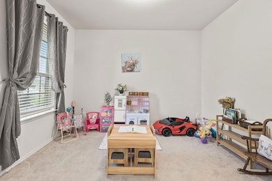 209 Ibis Falls Loop, Jarrell, TX 76537 - photo 6