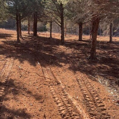 335300 Matlock Farms, McLoud, OK 74851 - photo 6