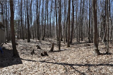 Wooded Land with many different types of trees --M