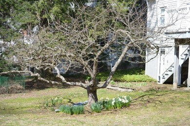 321 Middle St, Amherst, MA 01002 - photo 5