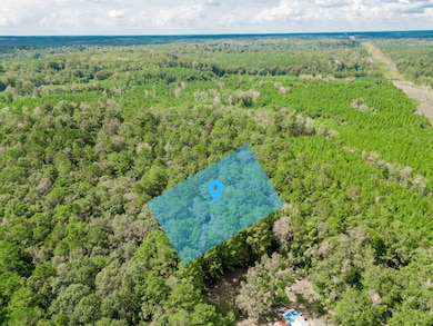 00 Florida 81, Ponce de Leon, FL - photo 6