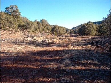 213 S Arizona Rd, Ash Fork, AZ 86320 - photo 5