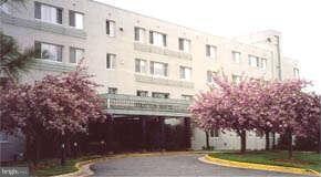 3601 5th St S unit 308, Arlington, VA 22204 - photo 2