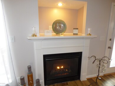 8505 Rebecca Scott Way, Louisville, KY 40228 - photo 7