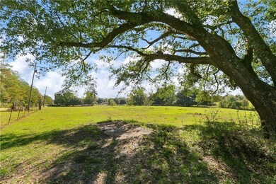 Pasture next door