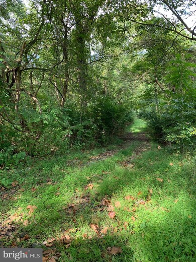 0 Low Line Road Tract 7 unit WVMO2001888, Great Cacapon, WV 25422 - photo 5