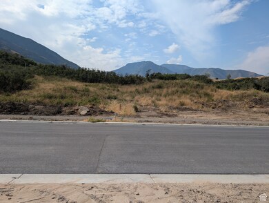 258 E Maple Ridge Dr unit 45, Mapleton, UT 84664 - photo 3