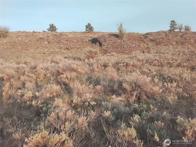 0 Paradise Point Rd unit NWM2455797, Tonasket, WA 98855 - photo 7