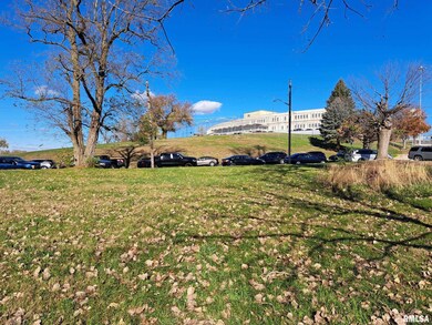 2124 2nd Ave, East Moline, IL 61244 - photo 4