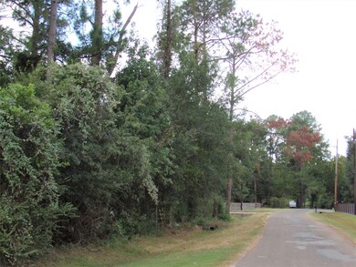 31807 Charter Ln, Waller, TX 77484 - photo 4