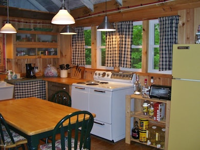 119 Pecks Pond Rd, Dingmans Ferry, PA 18328 - photo 6