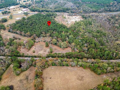 TBD State Highway 155, Big Sandy, TX 75755 - photo 3