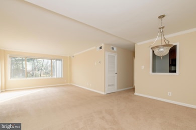 10570 Main St unit 424, Fairfax, VA 22030 - photo 4