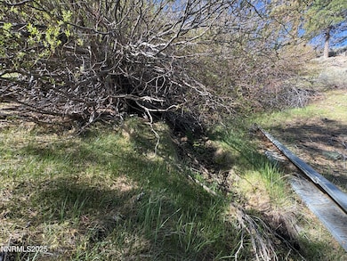 5000 W Hwy 50, Carson City, NV 89703 - photo 6