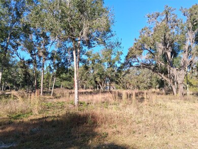 0 Long Cir unit MFRW7880916, Webster, FL 33597 - photo 3