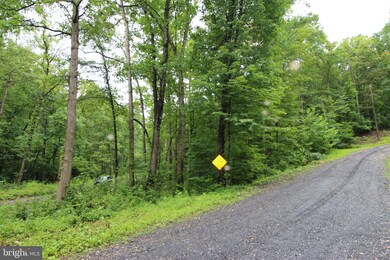 lot 8 Eagles Crag Rd, Shenandoah, VA 22630 - photo 6