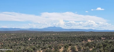 8200 W Rolling Ridge Rd, Ash Fork, AZ 86320 - photo 5