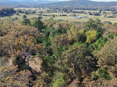 TBD Rural Property, Leflore, OK 74942 - photo 5