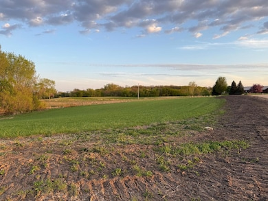 7981 207th St E, Spring Lake Township, MN 55372 - photo 2