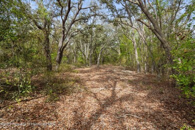 24-web-or-mls-M7309254