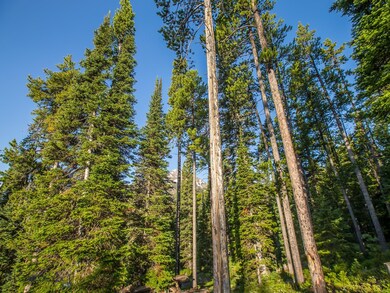 Lot 267 Little Wolf Rd, Big Sky, MT 59716 - photo 7