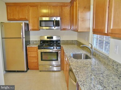 14426 Astrodome Dr, Silver Spring, MD 20906 - photo 3